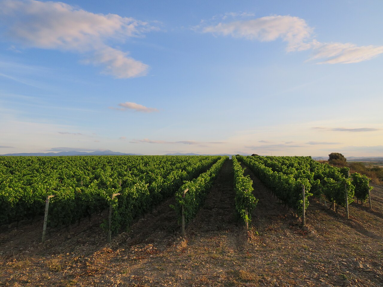 La Rioja