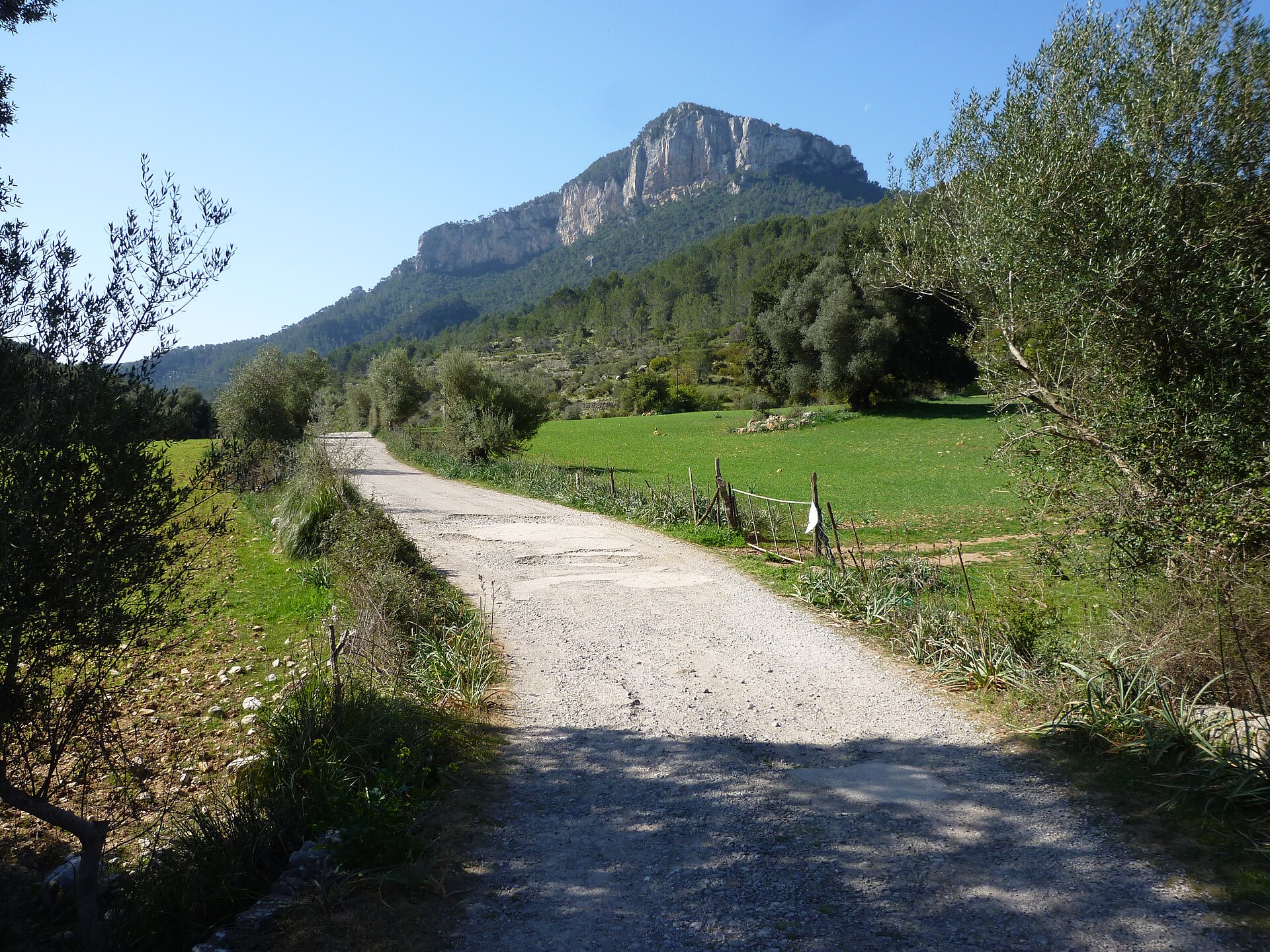 Mallorca